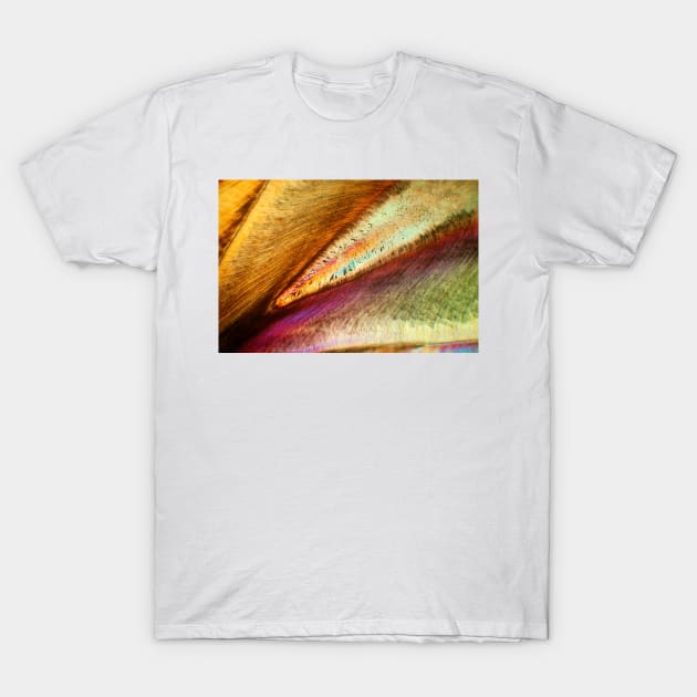 Human tooth, polarised light microscopy (C027/5945) T-Shirt by SciencePhoto